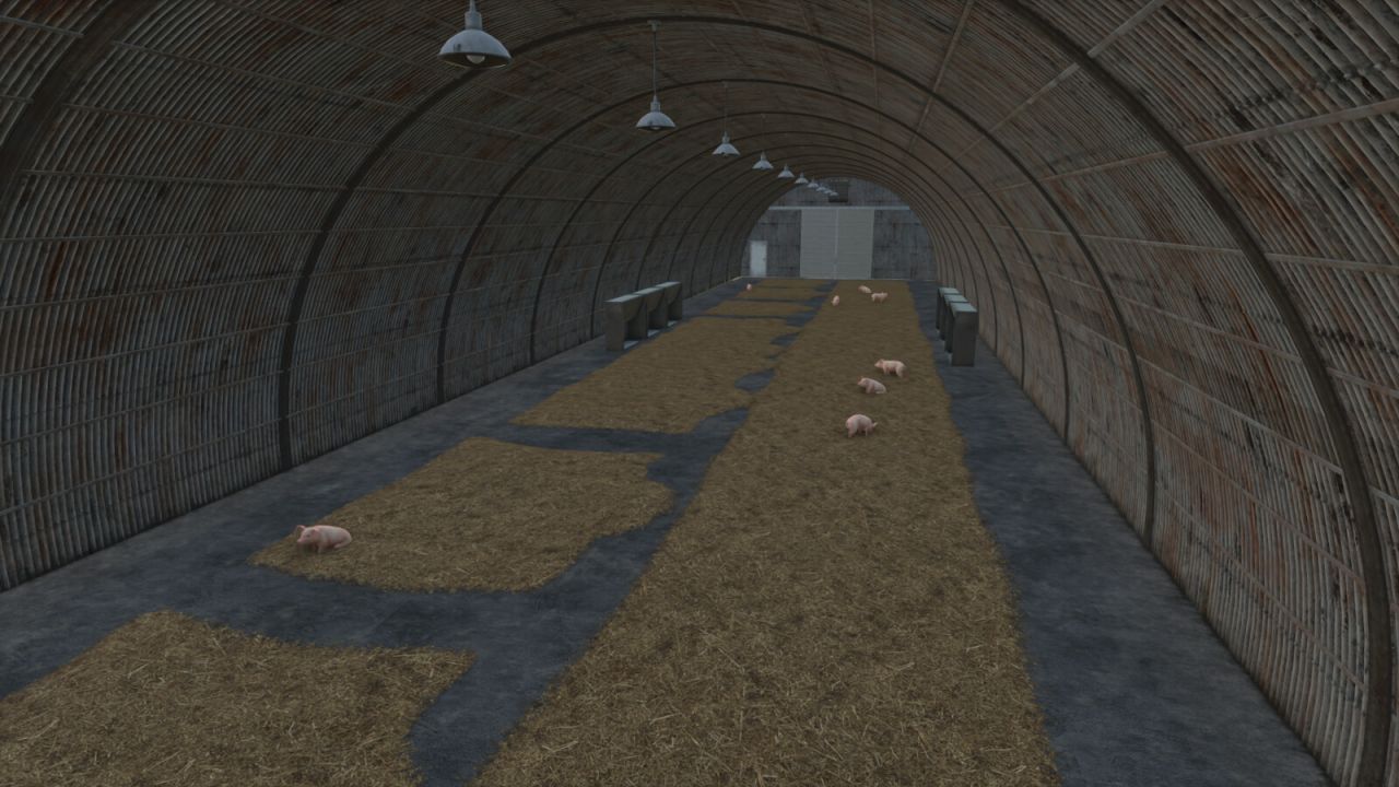 Vieil cochon d'étain