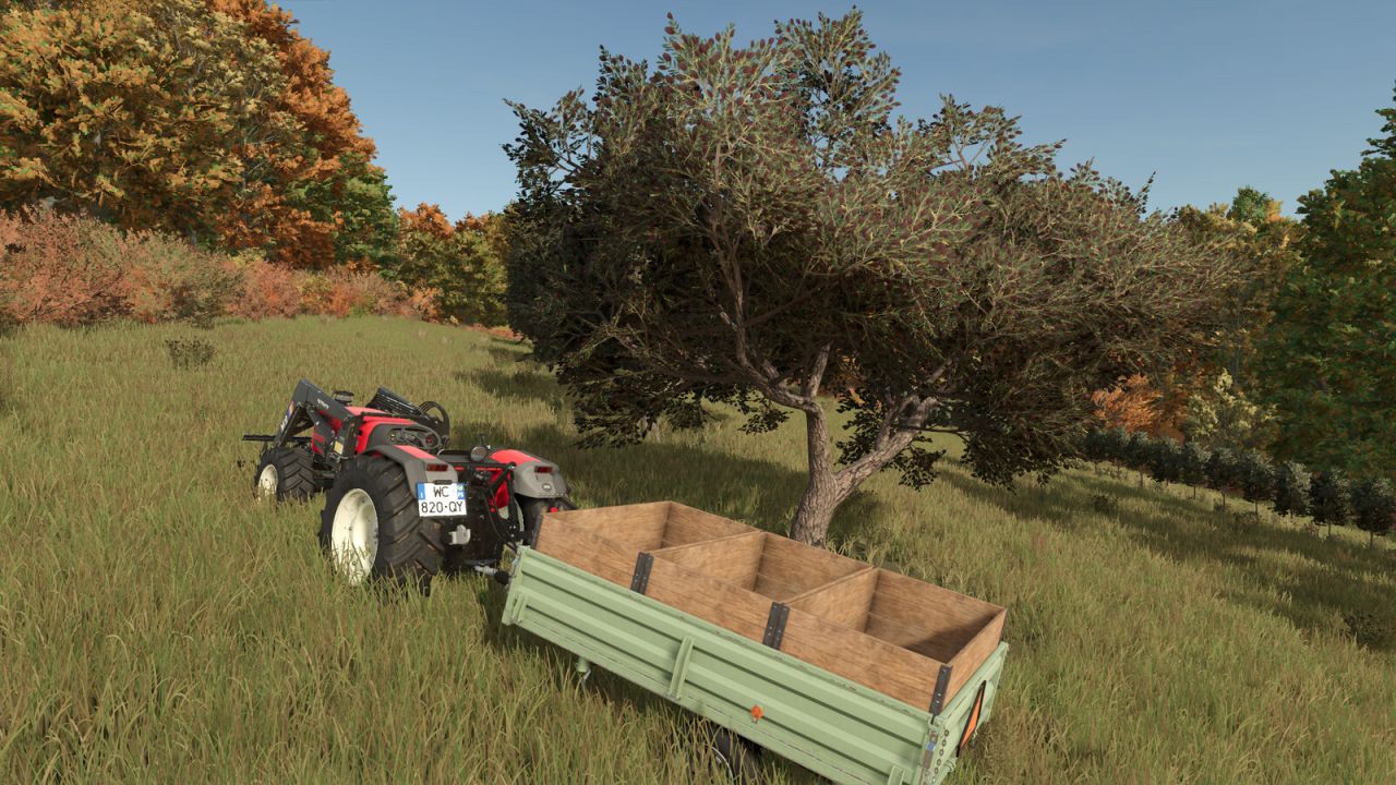 Trailer della raccolta delle olive