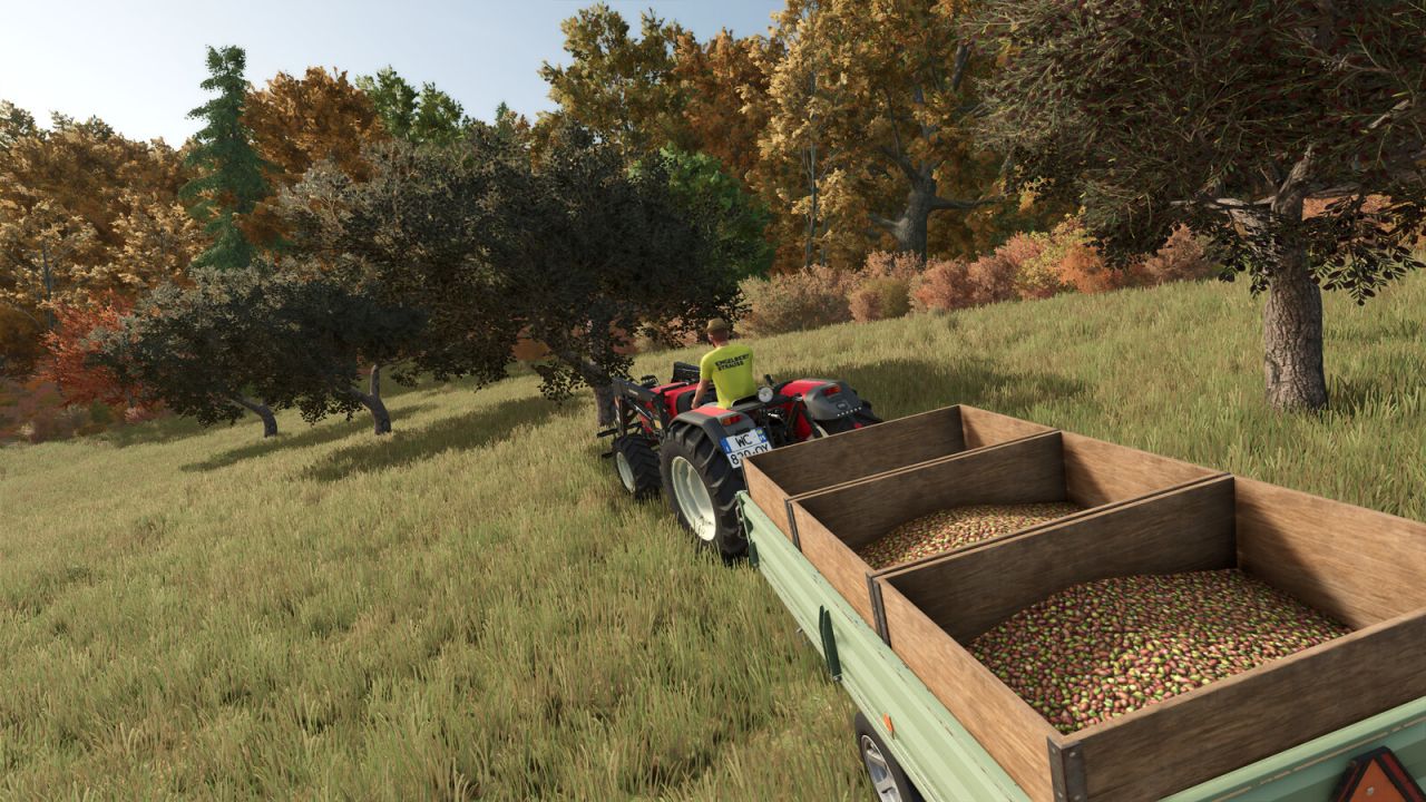 Trailer della raccolta delle olive