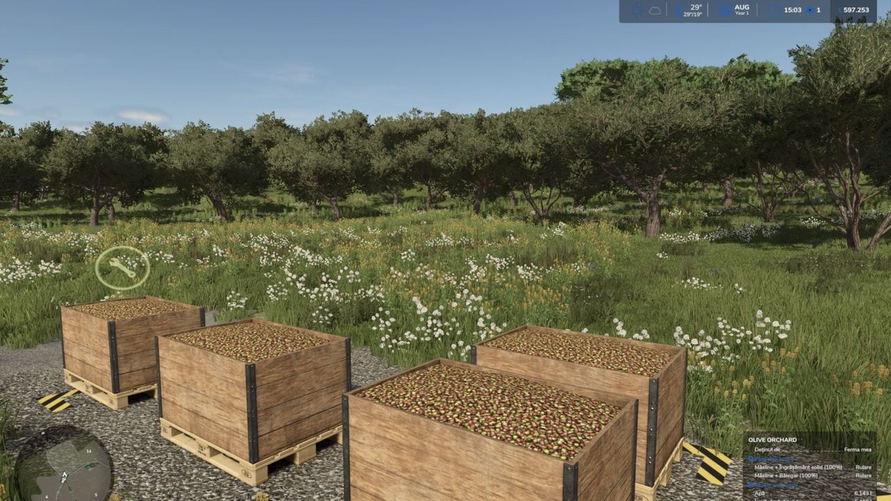 Olive Orchard Trigger for Etruria