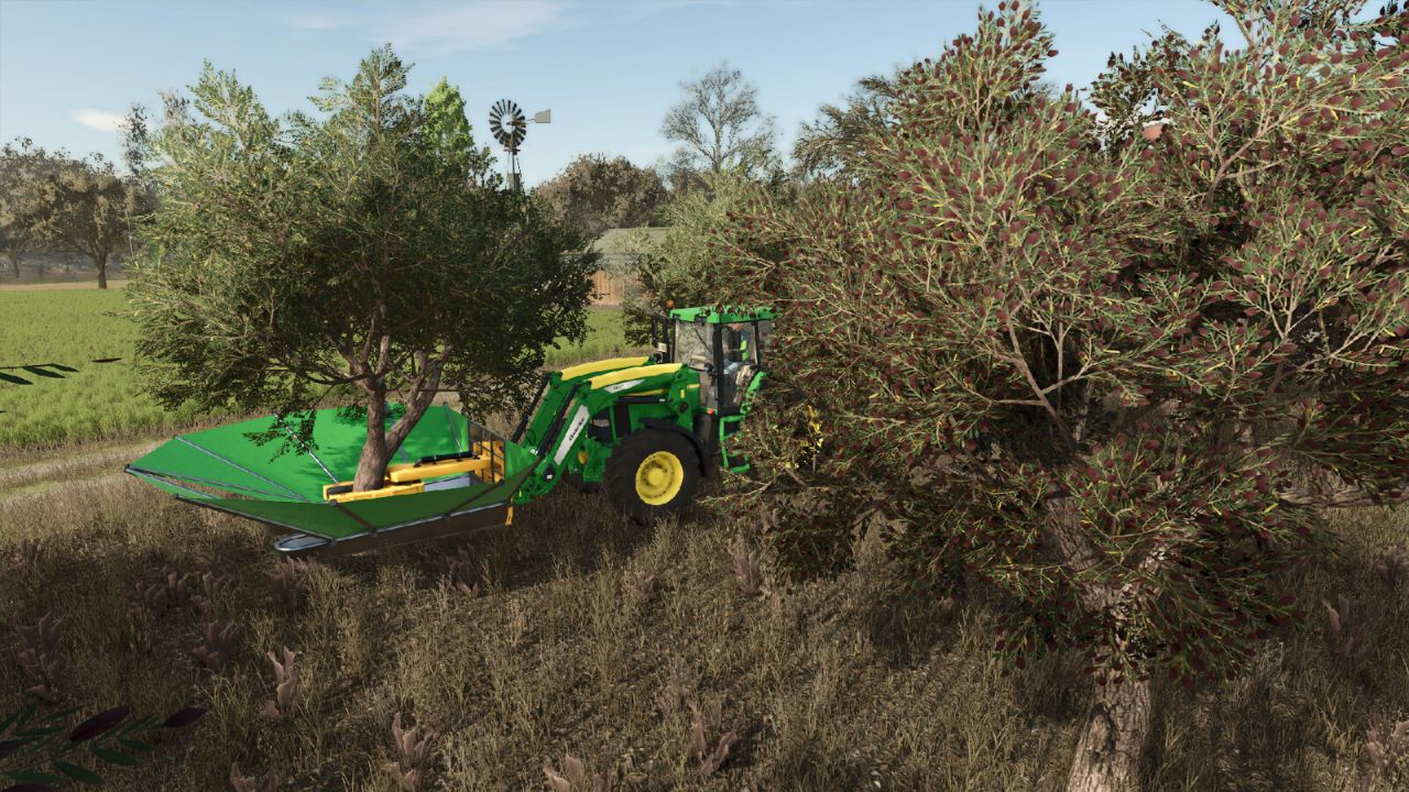 Olive + olive picker