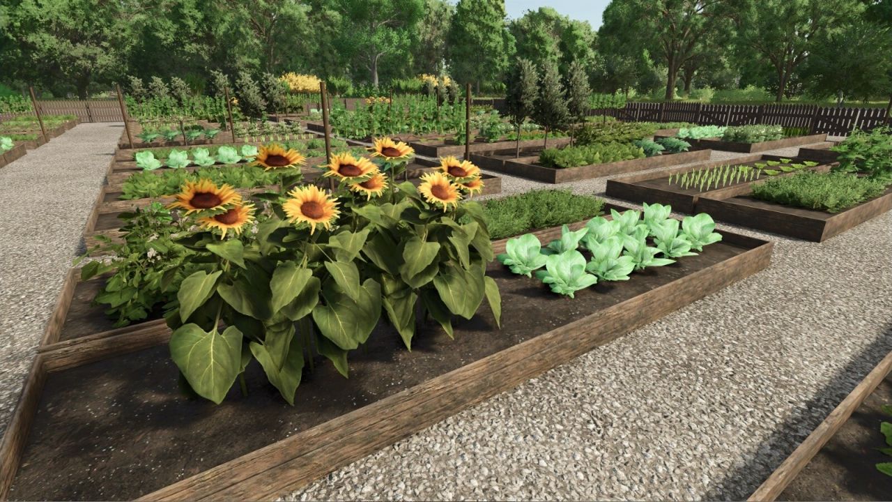 Open luchttuin
