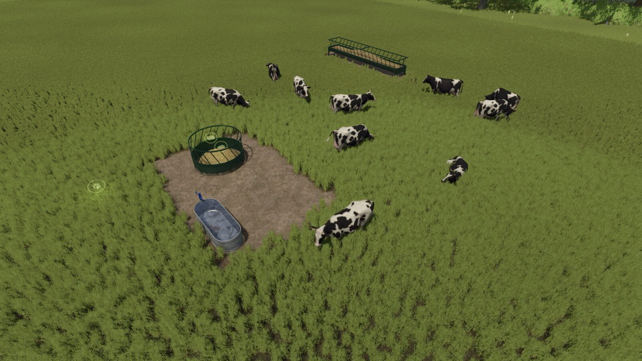 Open Pastures