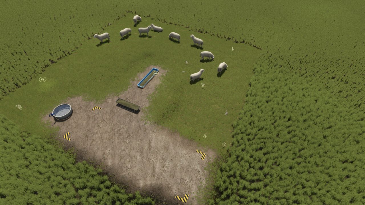 Open Pastures