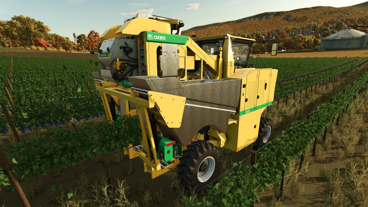 OXBO 6030