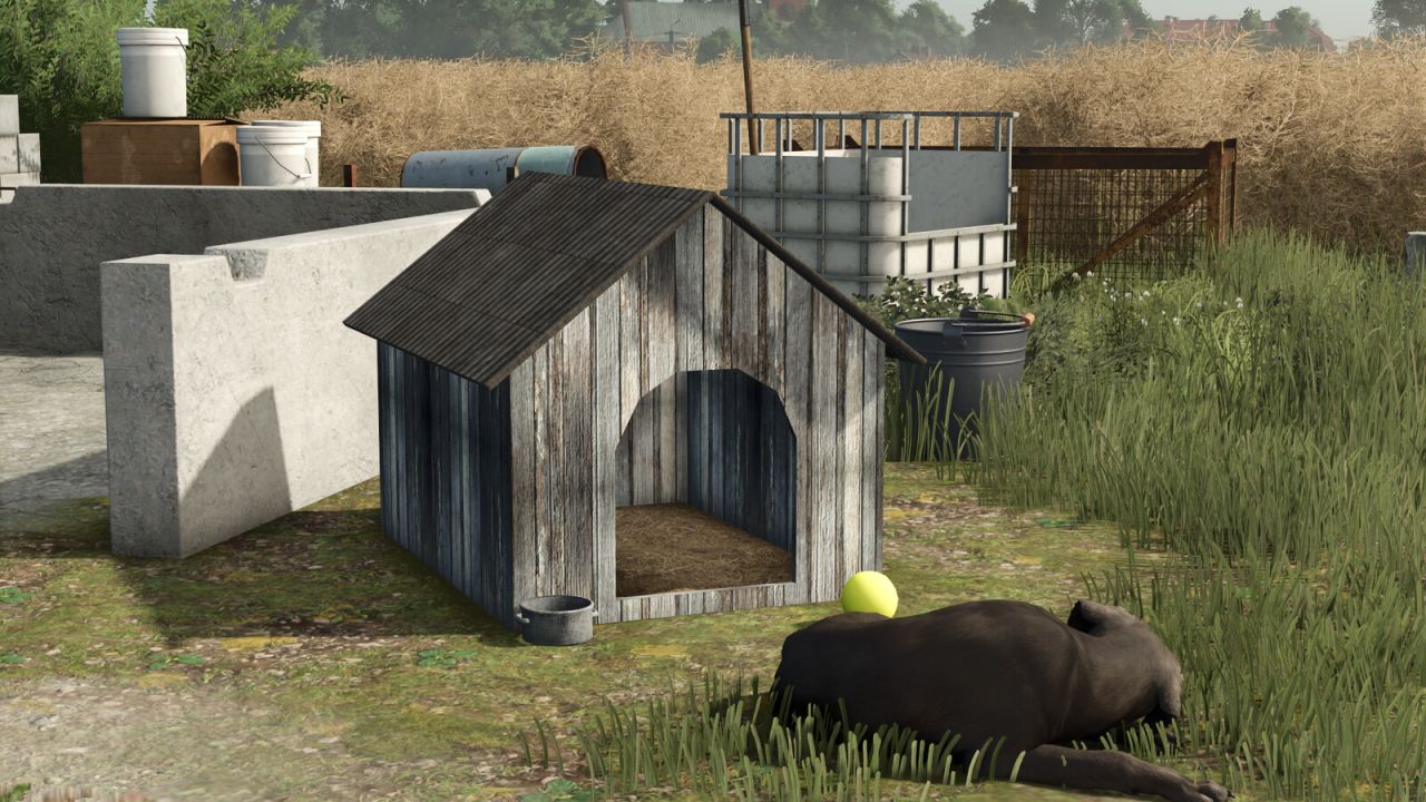Pack Of Old Dog Houses