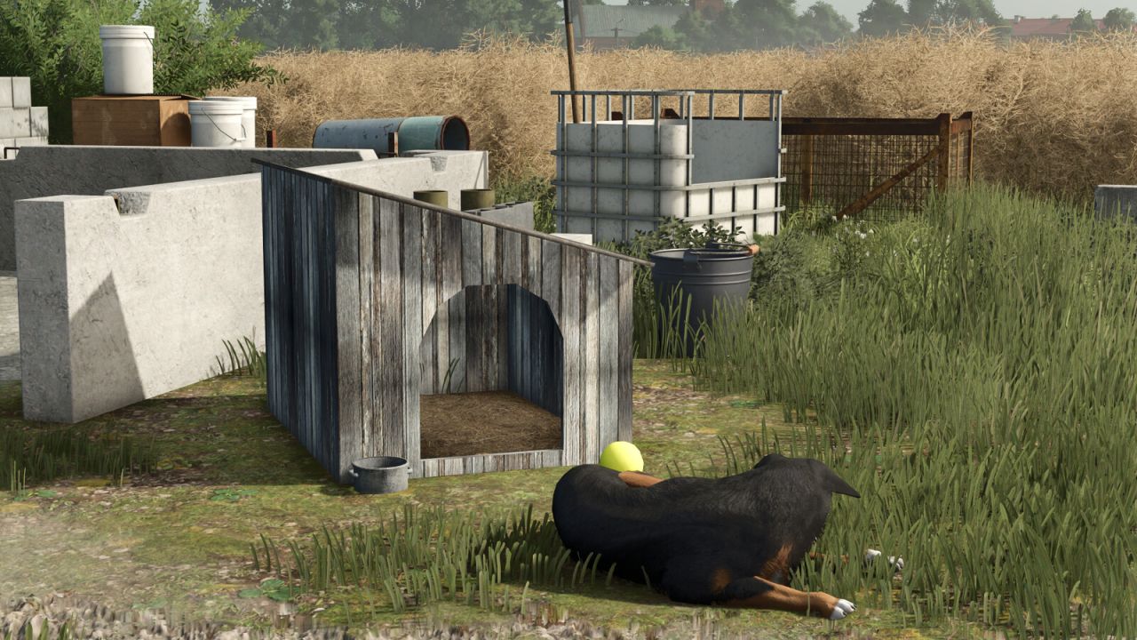 Pack Of Old Dog Houses