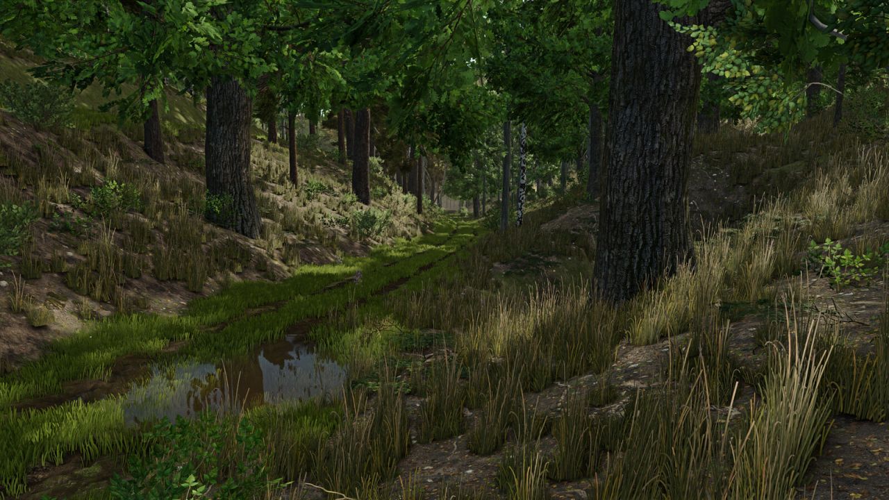 Palatinate Forest