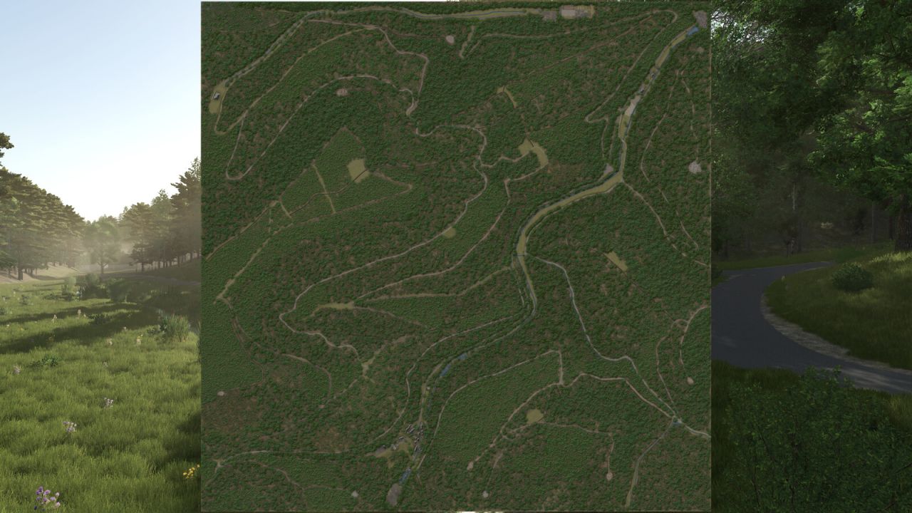 Palatinate Forest