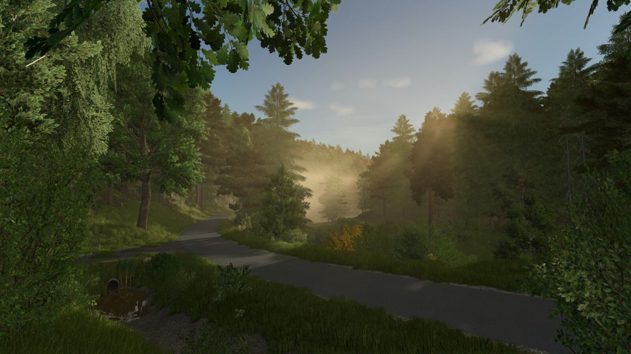 Palatinate Forest