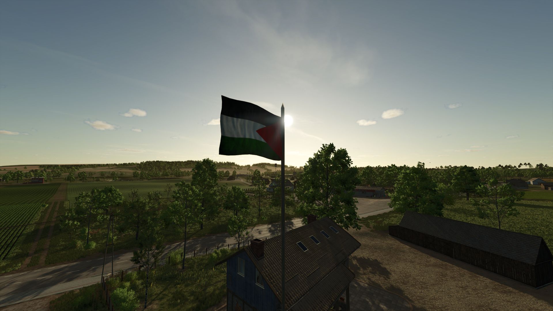 Palestine Flag