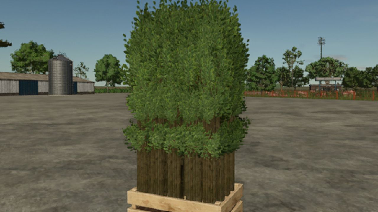 Pallet With Tree Seedlings