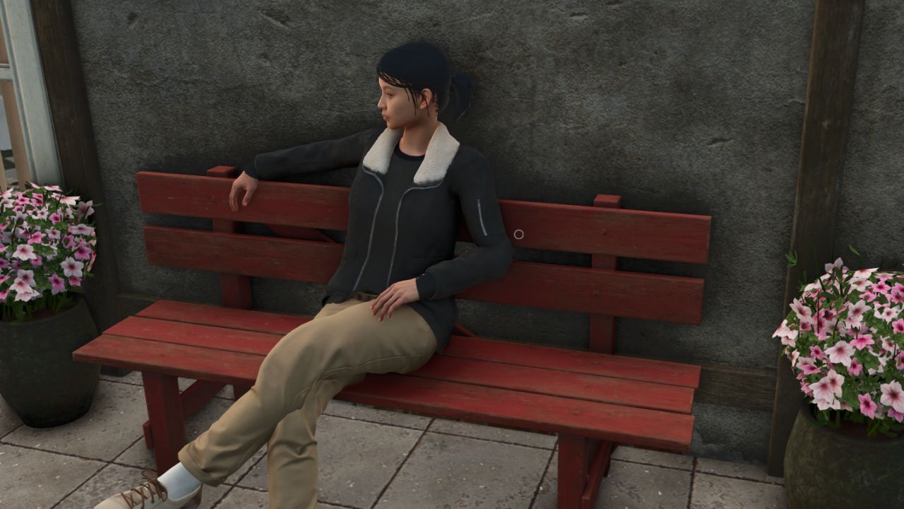 Persistent Companion System