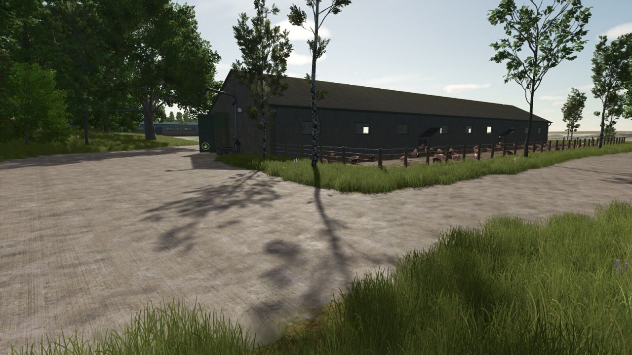 Pig Barn Medium