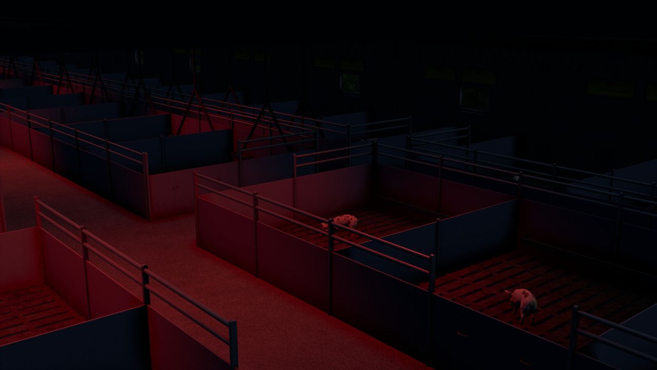 Pigshed