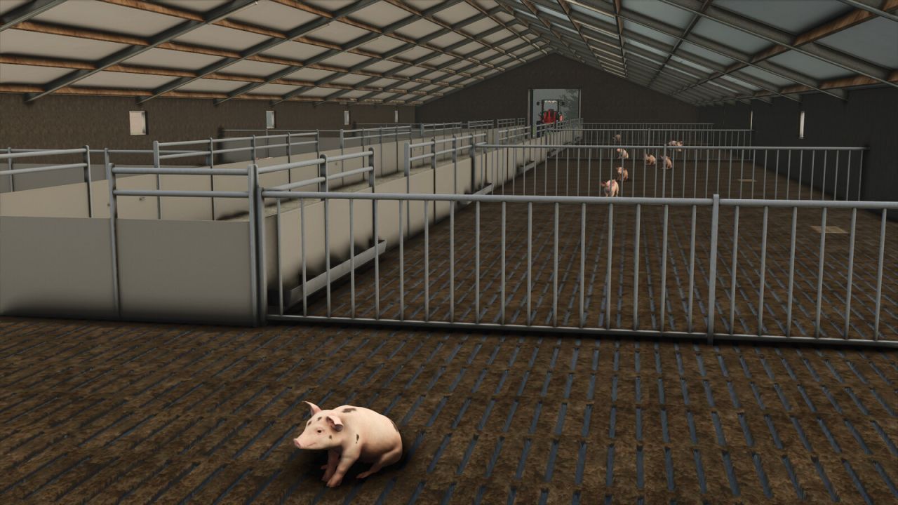 Pigshed
