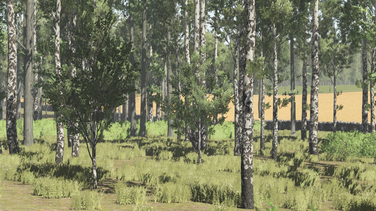 Pinewood Forest