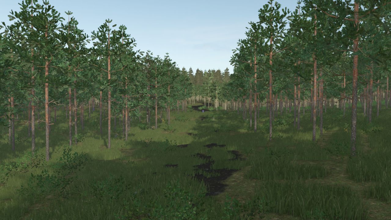 Pinewood Forest Next Generation