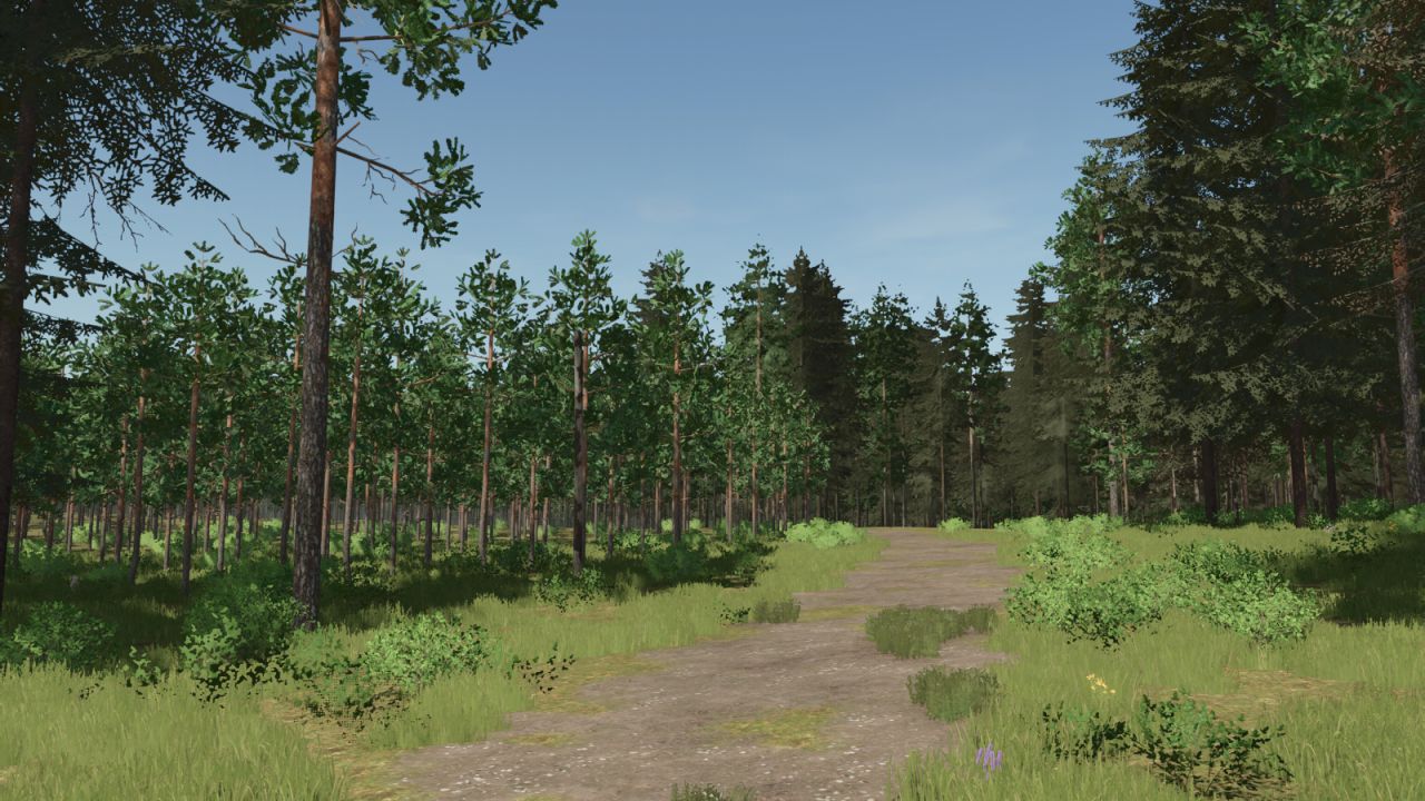 Pinewood Forest Next Generation