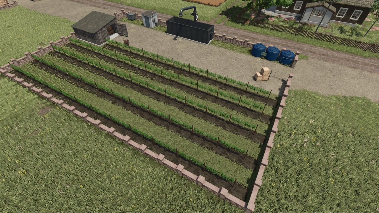 Plantations for grapes and olives