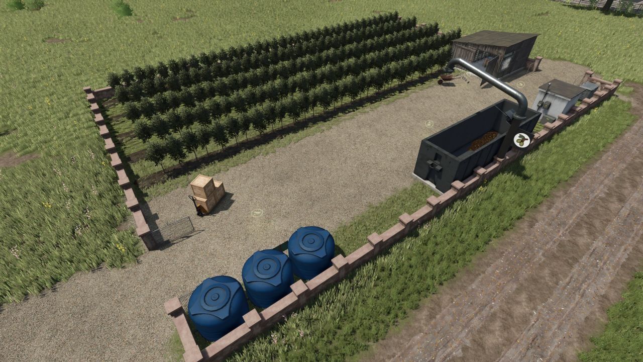 Plantations for grapes and olives