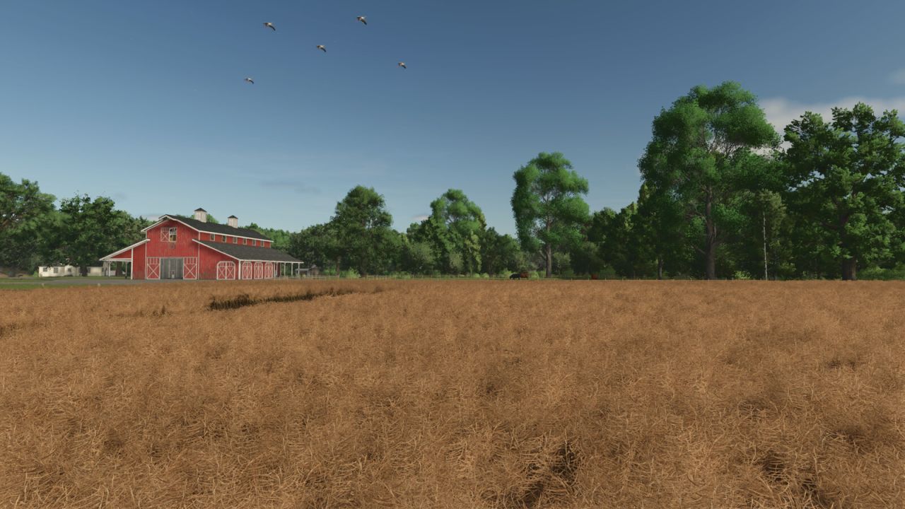 PlayerCam