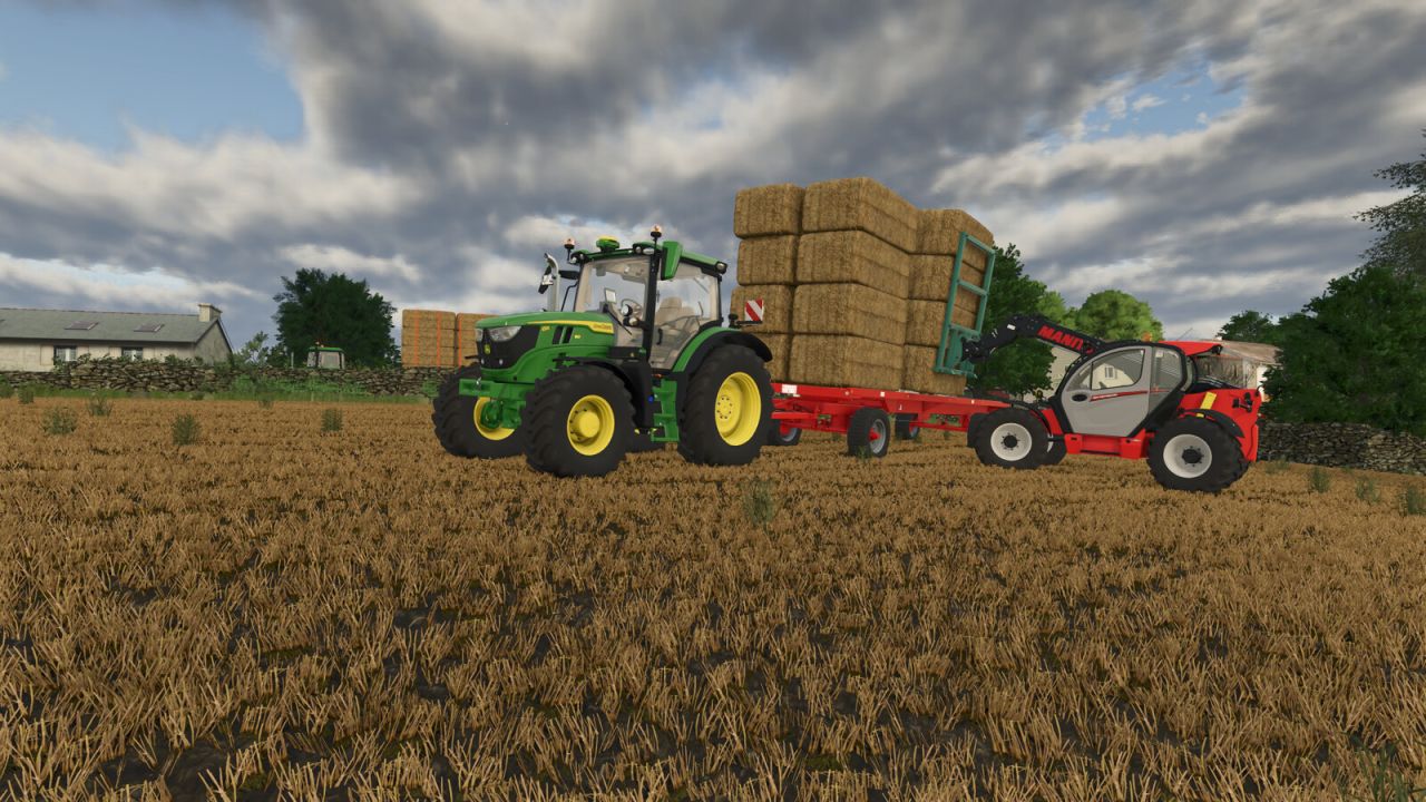 Plc Ballenspieß Pack