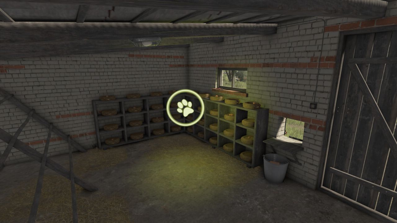 Galinheiros Poloneses