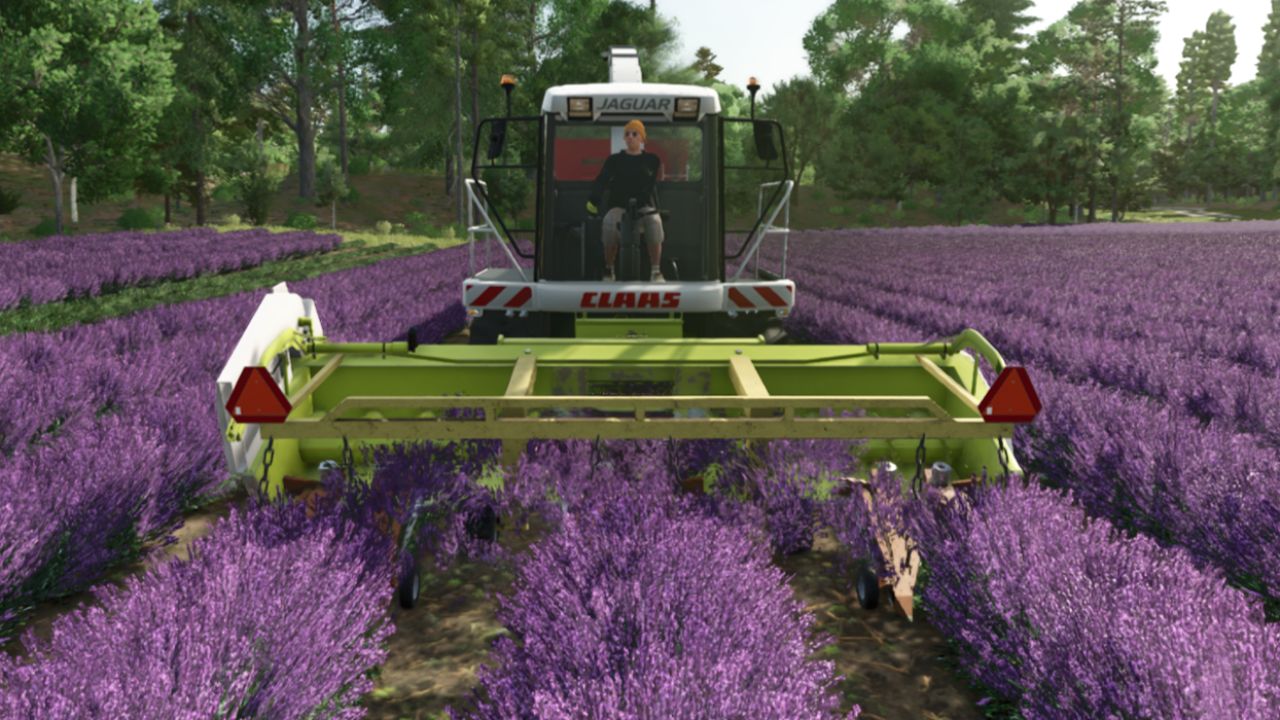 Ponzo lavendel header