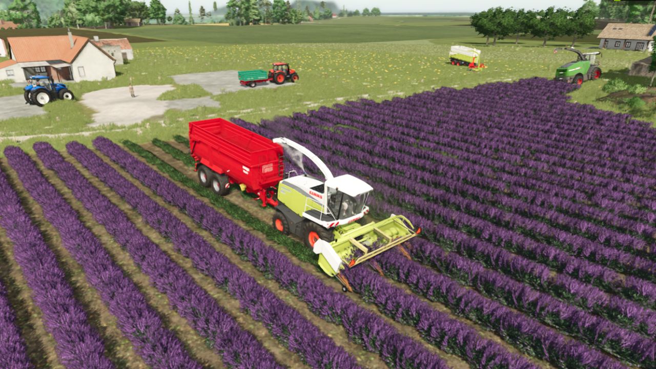 Ponzo Lavender Header