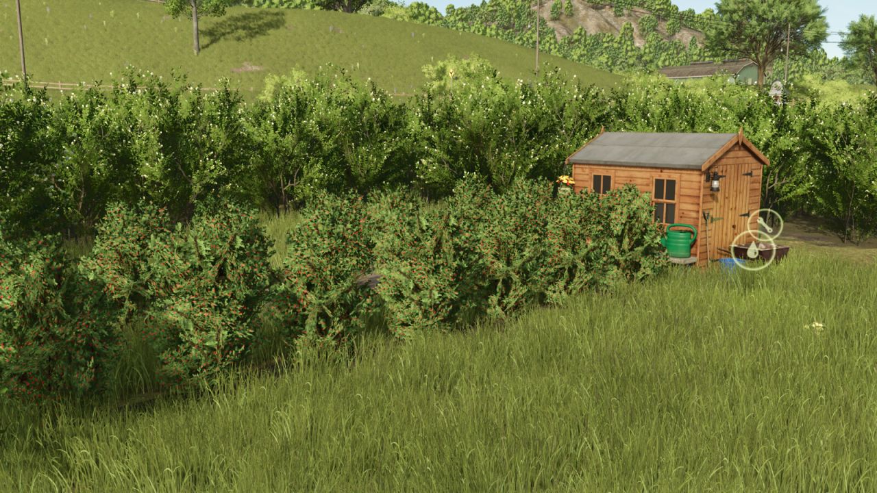 Raspberry Productions