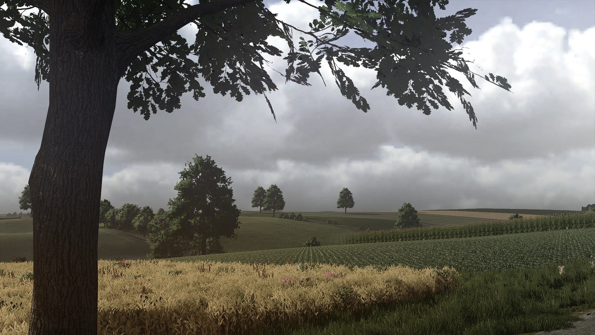 Real Sky FS25 thumbnail 4