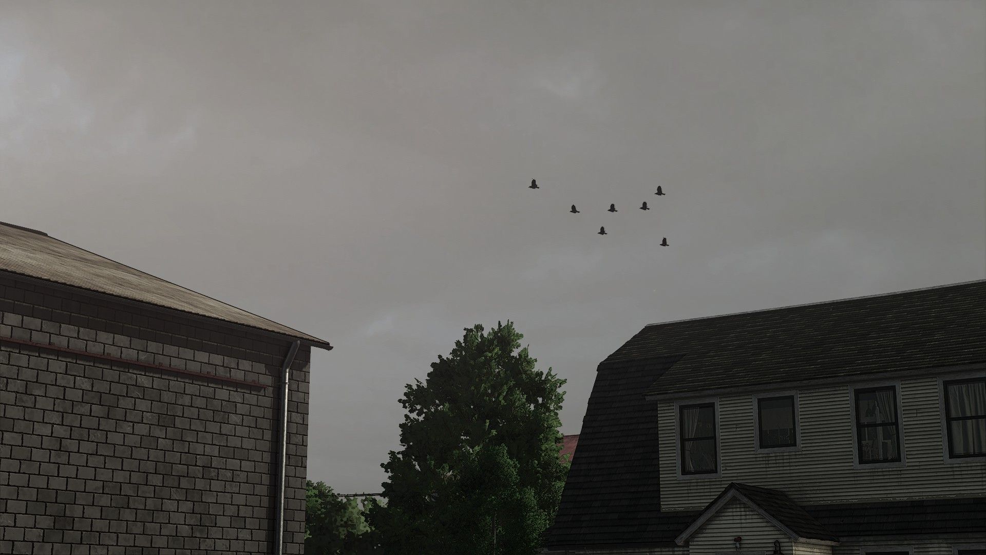 Real Sky