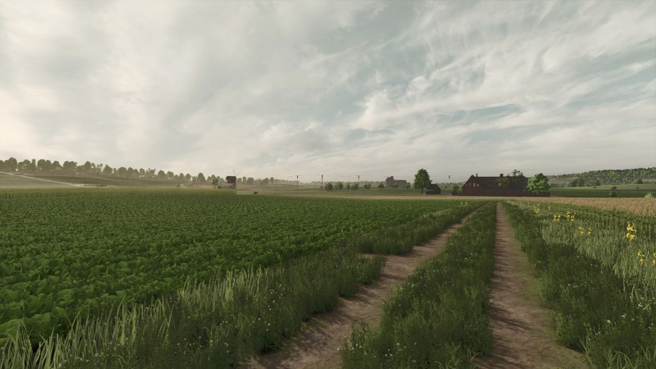Echte lucht (remake)