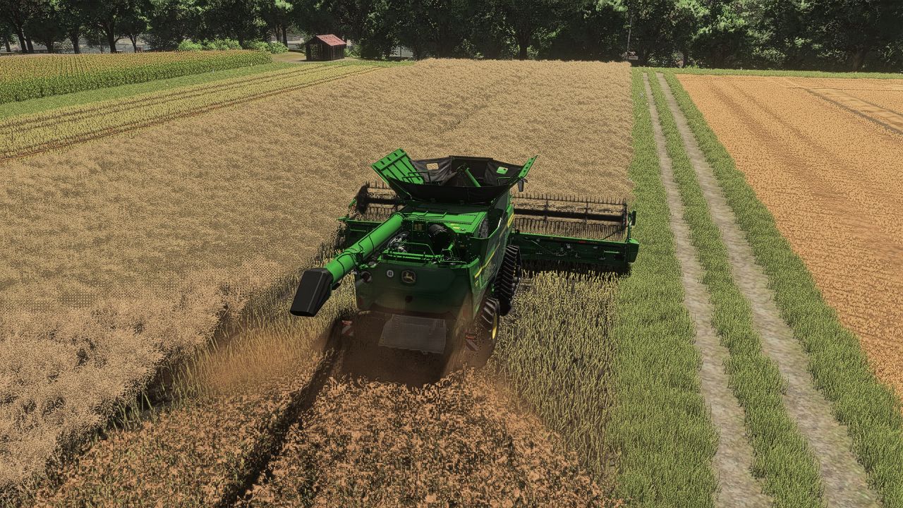 Ciclo de crecimiento realista de la canola en Europa