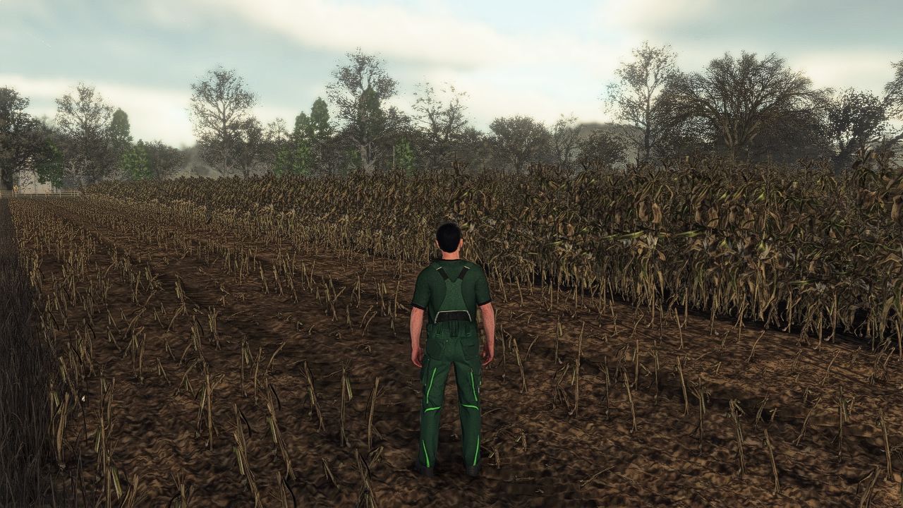 Реалистичная система выращивания кукурузы в Европе