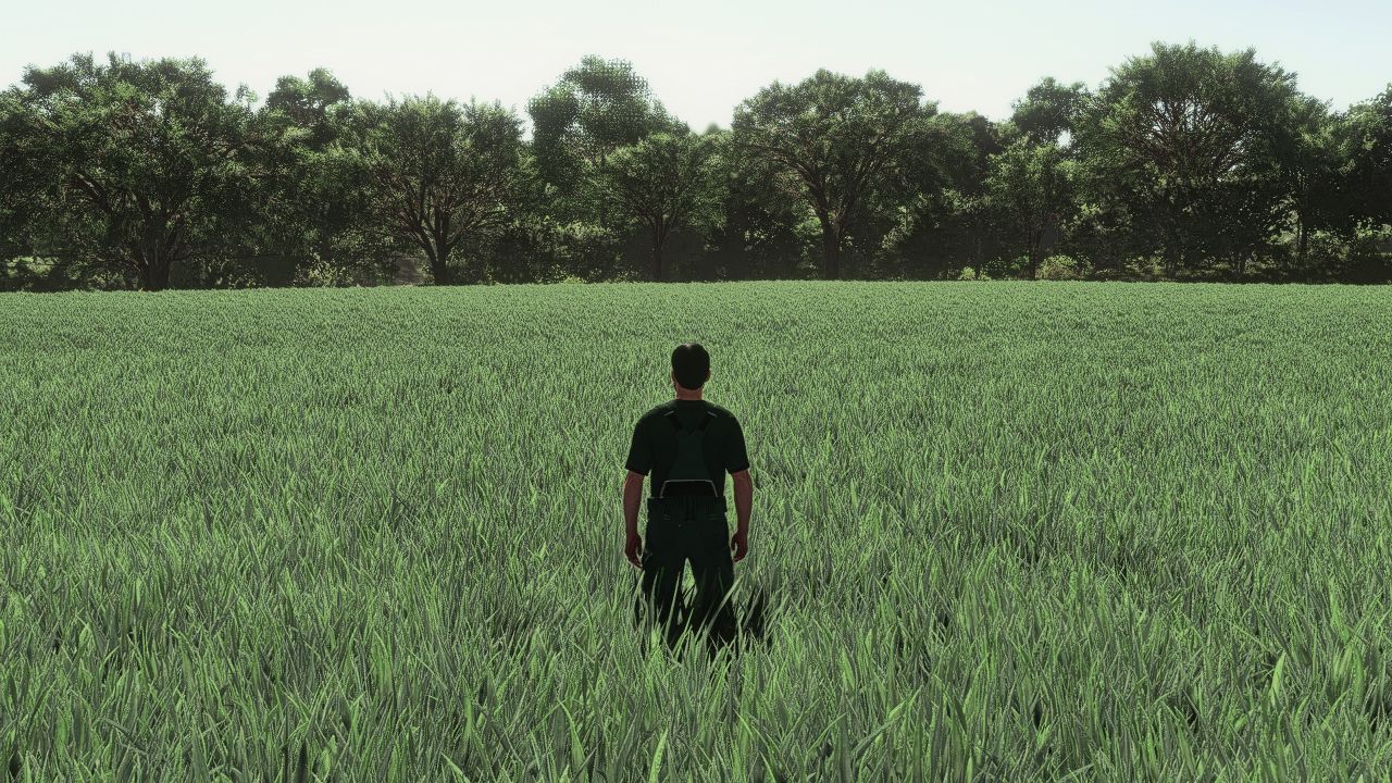 Ciclo realista de crescimento da aveia na Europa