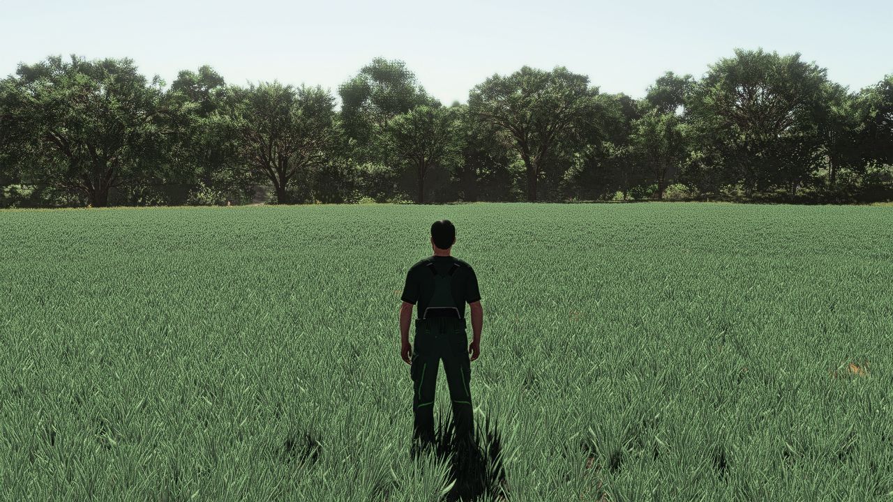 Ciclo realista de crescimento da aveia na Europa