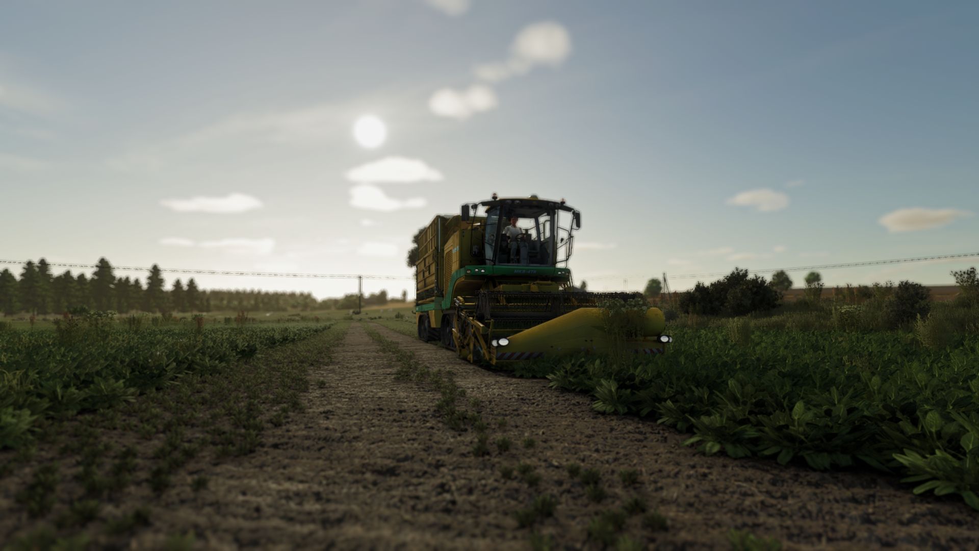 Realistic shader