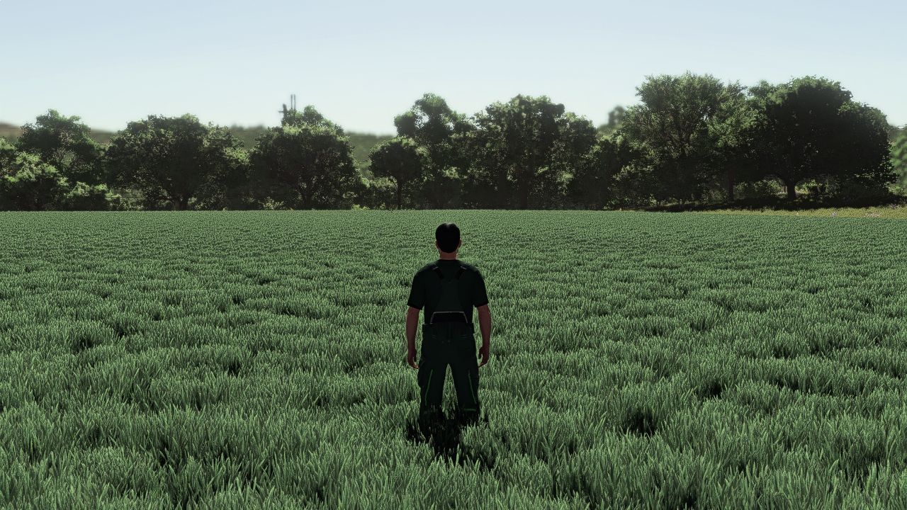 Grano e orzo realistici: ciclo di crescita dell'Europa