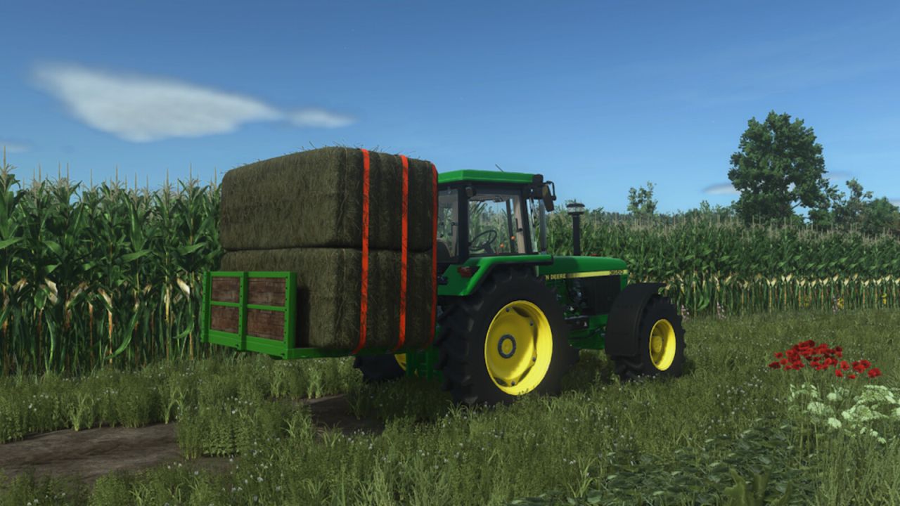 Hintere Landwirtschaftsplattform