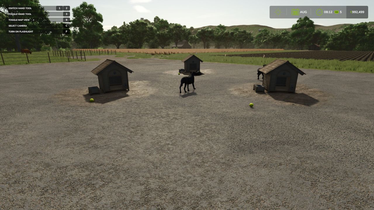 Cambie el nombre de su perro