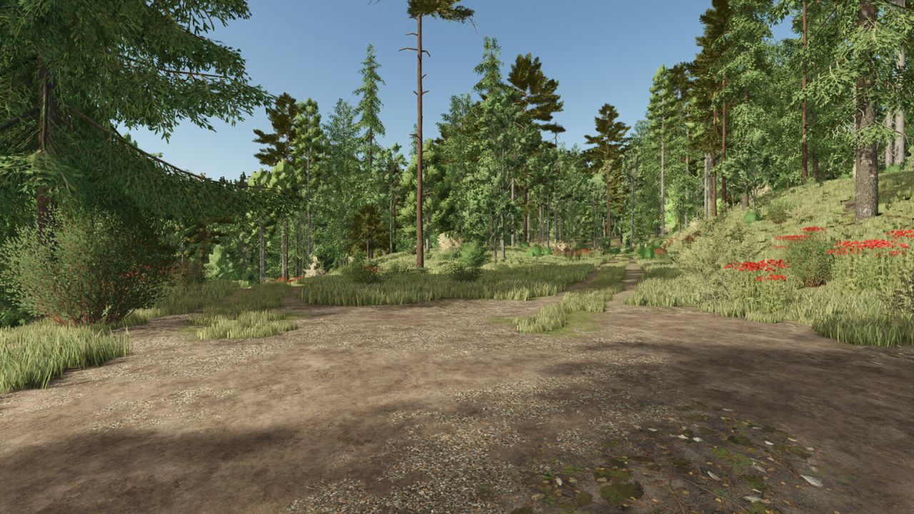 Rhönplateu