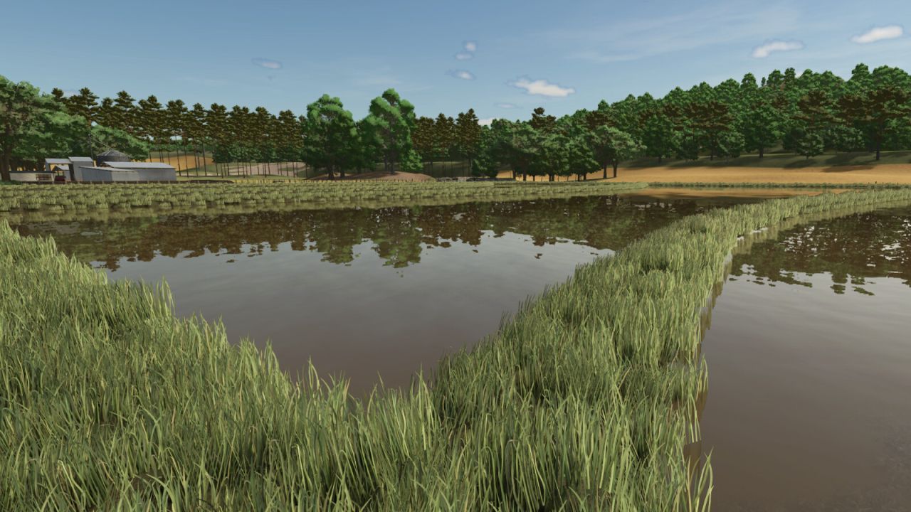 Campos de arroz en