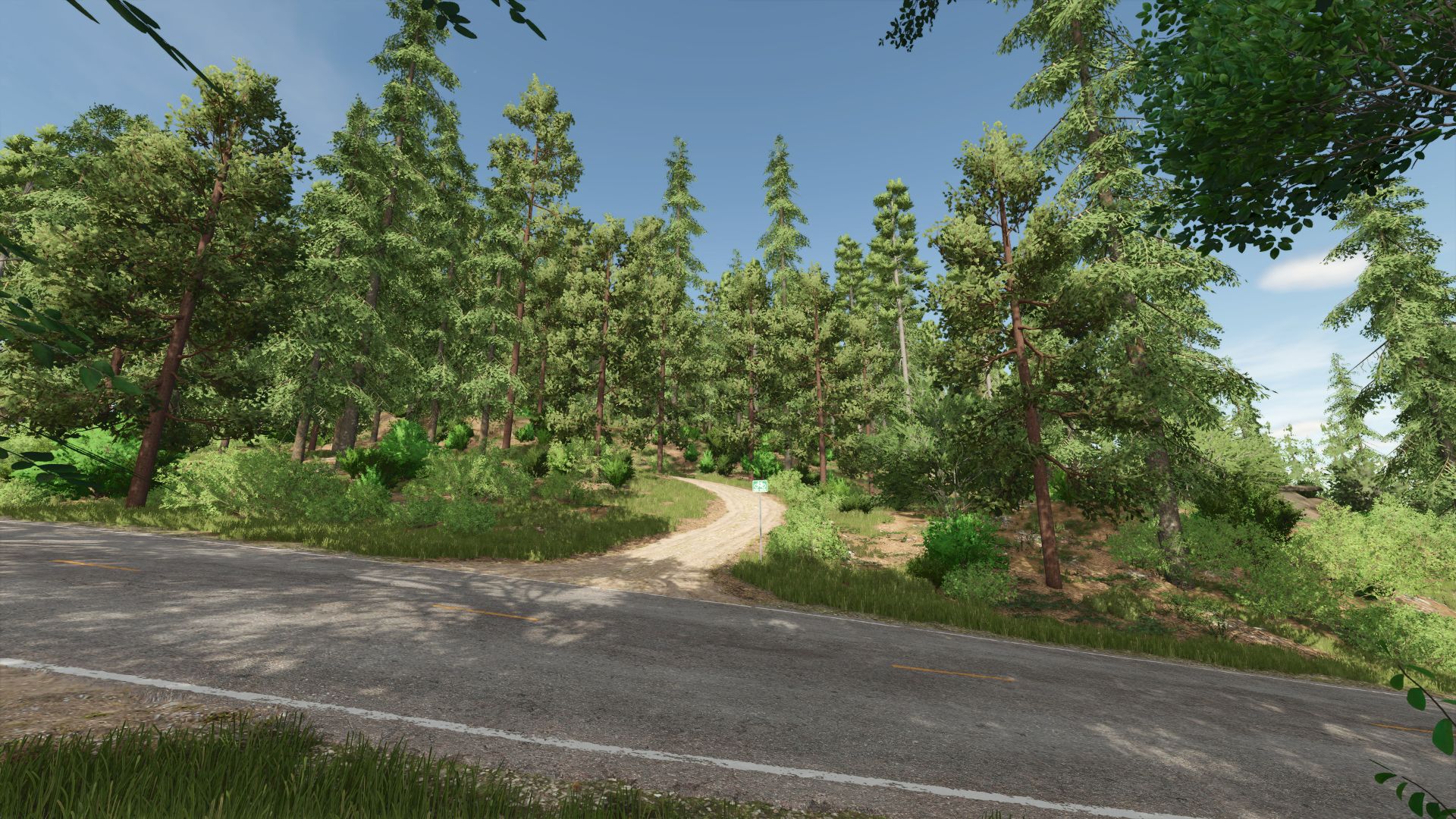 Riverbend Springs Forest