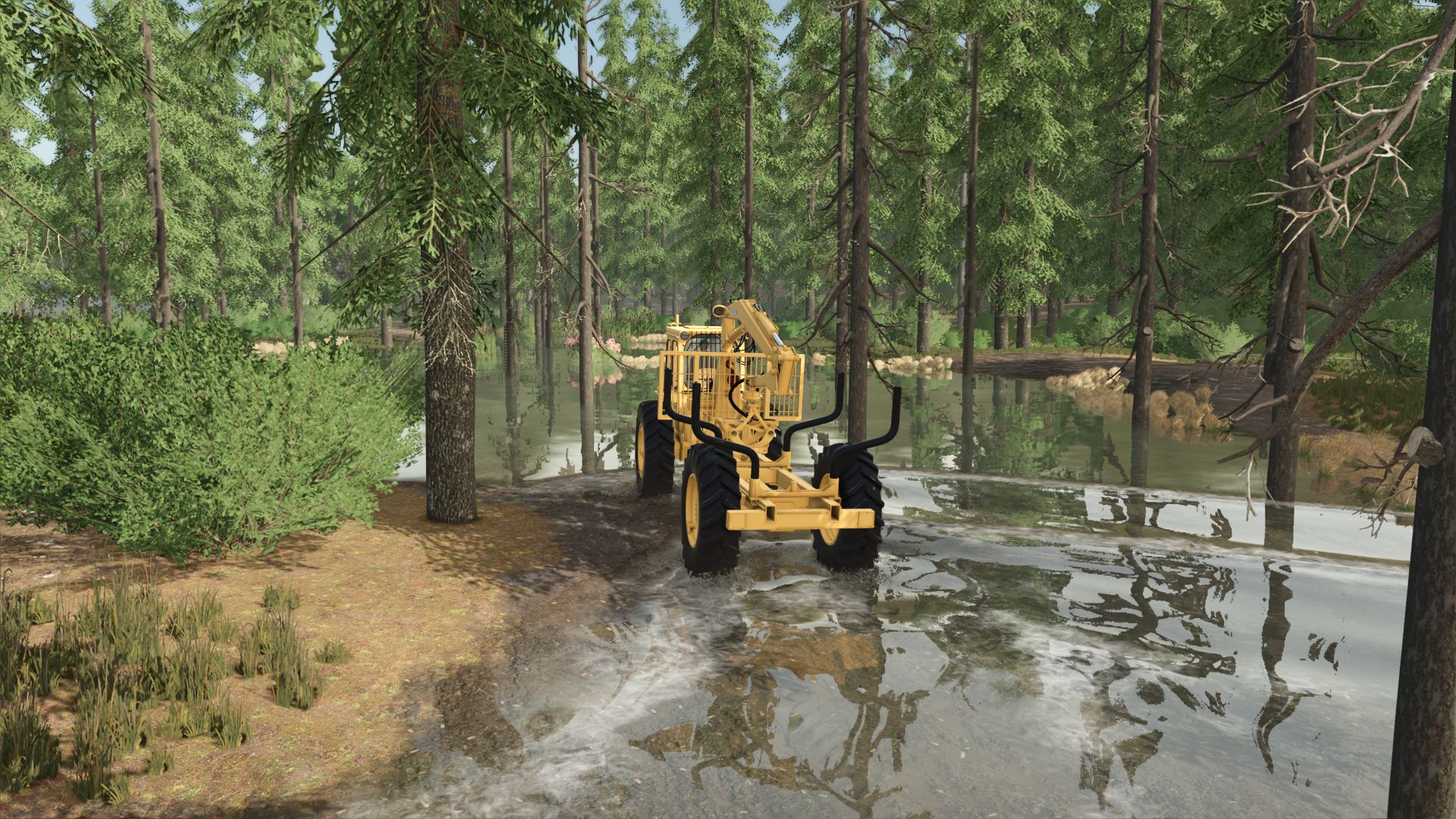 Riverbend Springs Forest