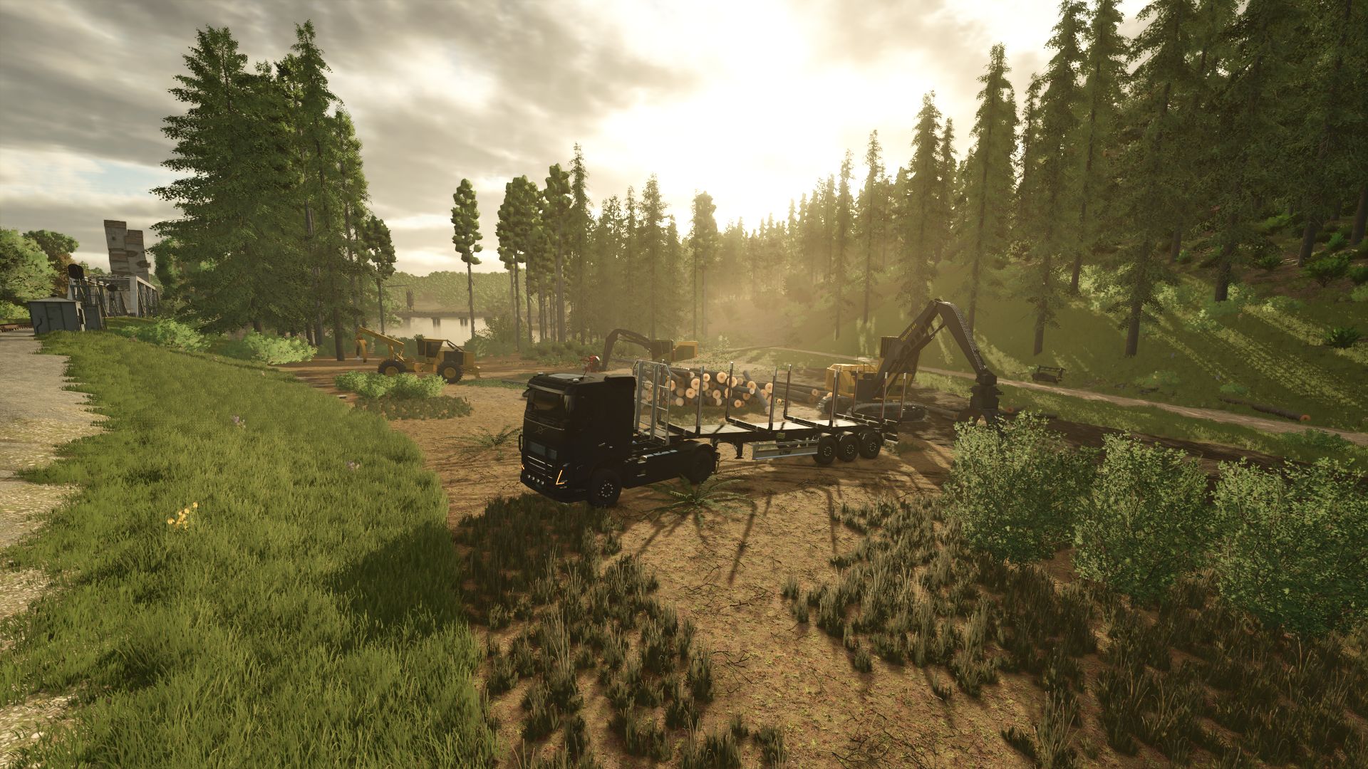Riverbend Springs Forest