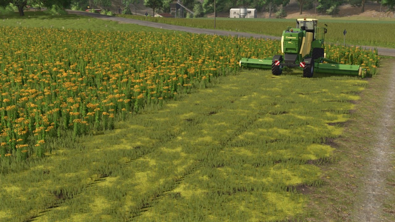 Riverbend Springs – Squigglze Edition