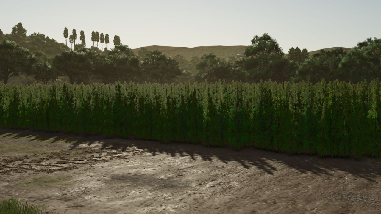 Riverbend Springs – Squigglze Edition