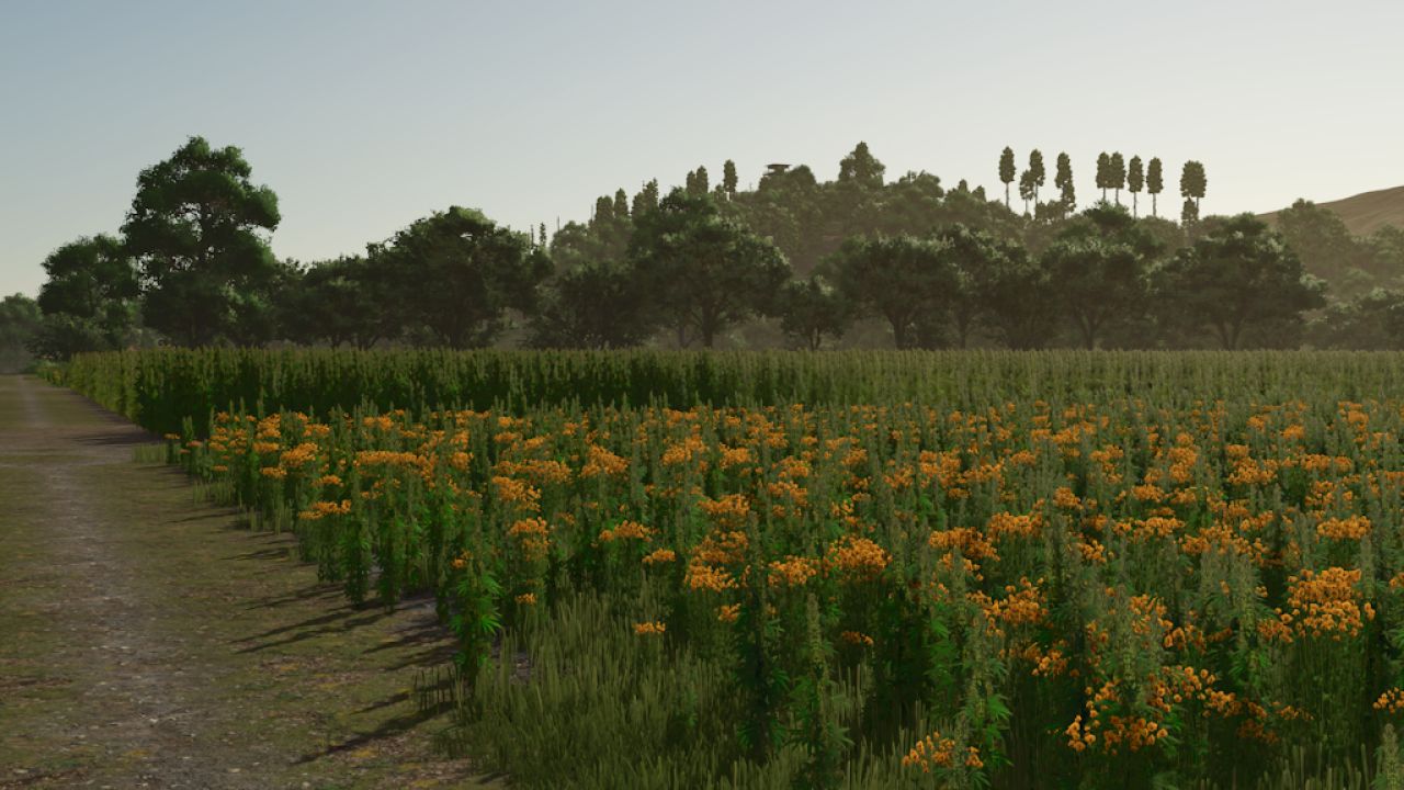 Riverbend Springs – Squigglze Edition